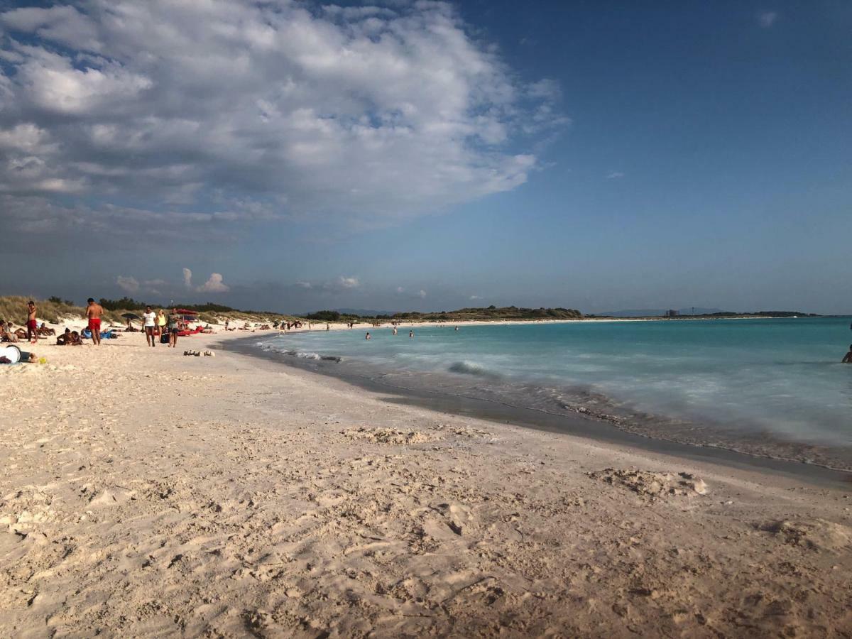 Casa In Campagna A Due Passi Dal Mare ปิซา ภายนอก รูปภาพ